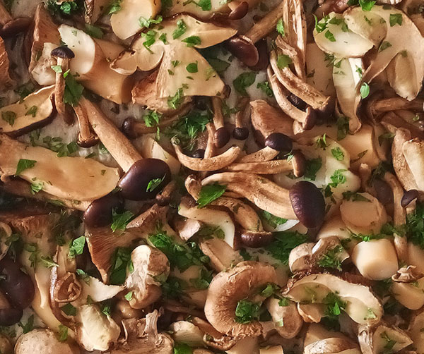 Mushrooms en Papillote