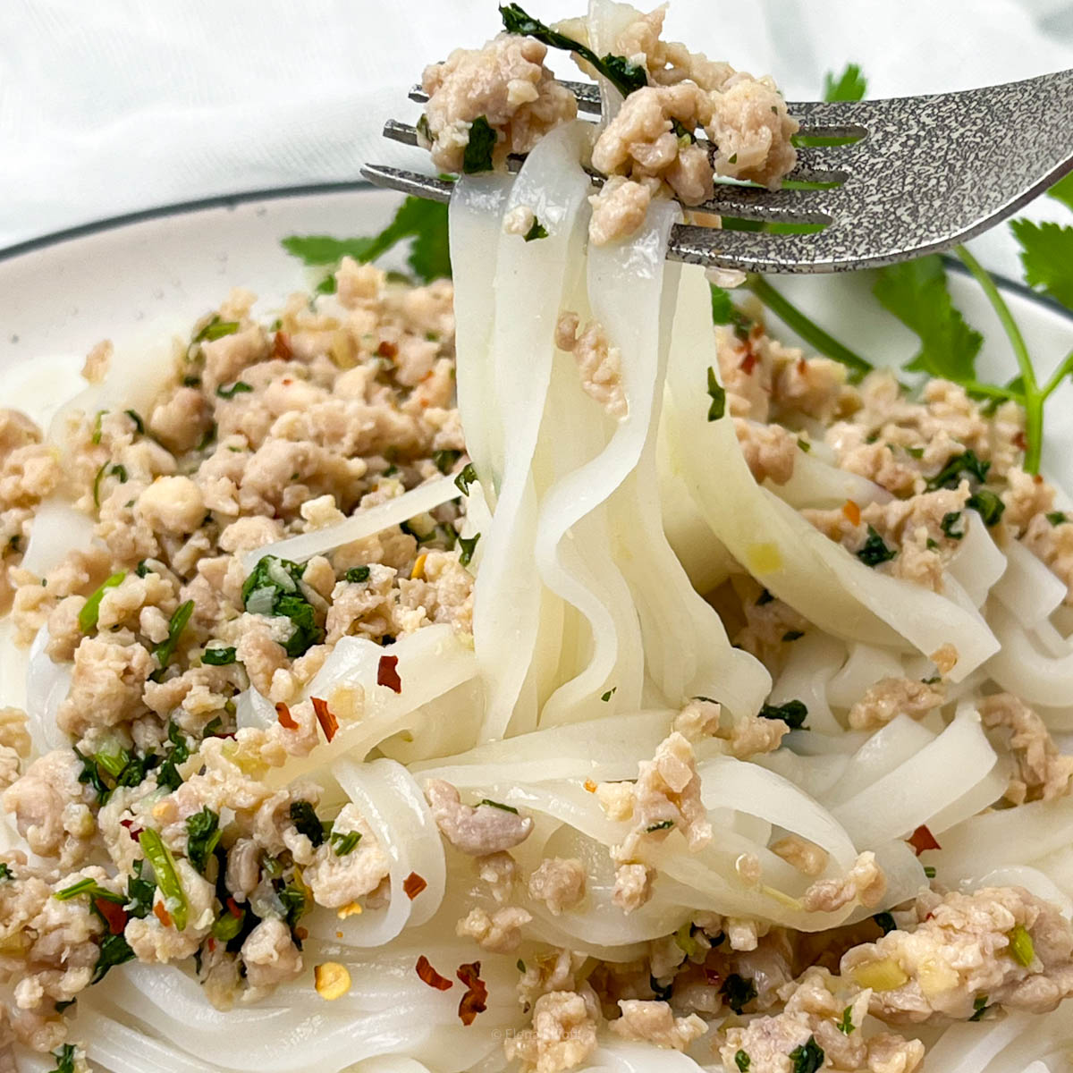 10 Minute Chicken Mince Stir Fry