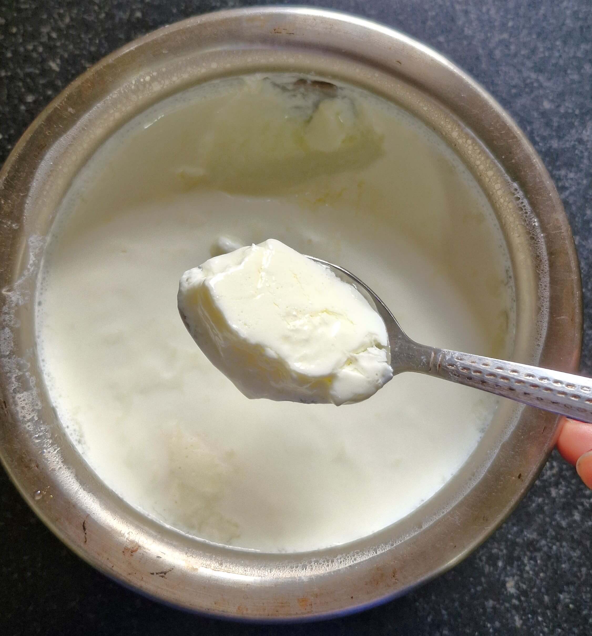 Homemade Thick Curd