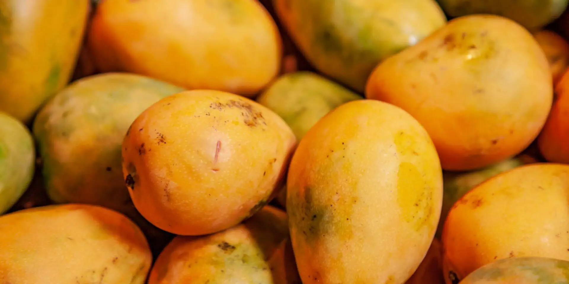 The Role of Mango in Indian Cuisine: From Juicy Summer Fruit to Flavorful Pickles