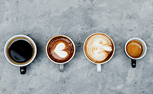 Discover the World of Types of Coffee: A Beginner’s Guide