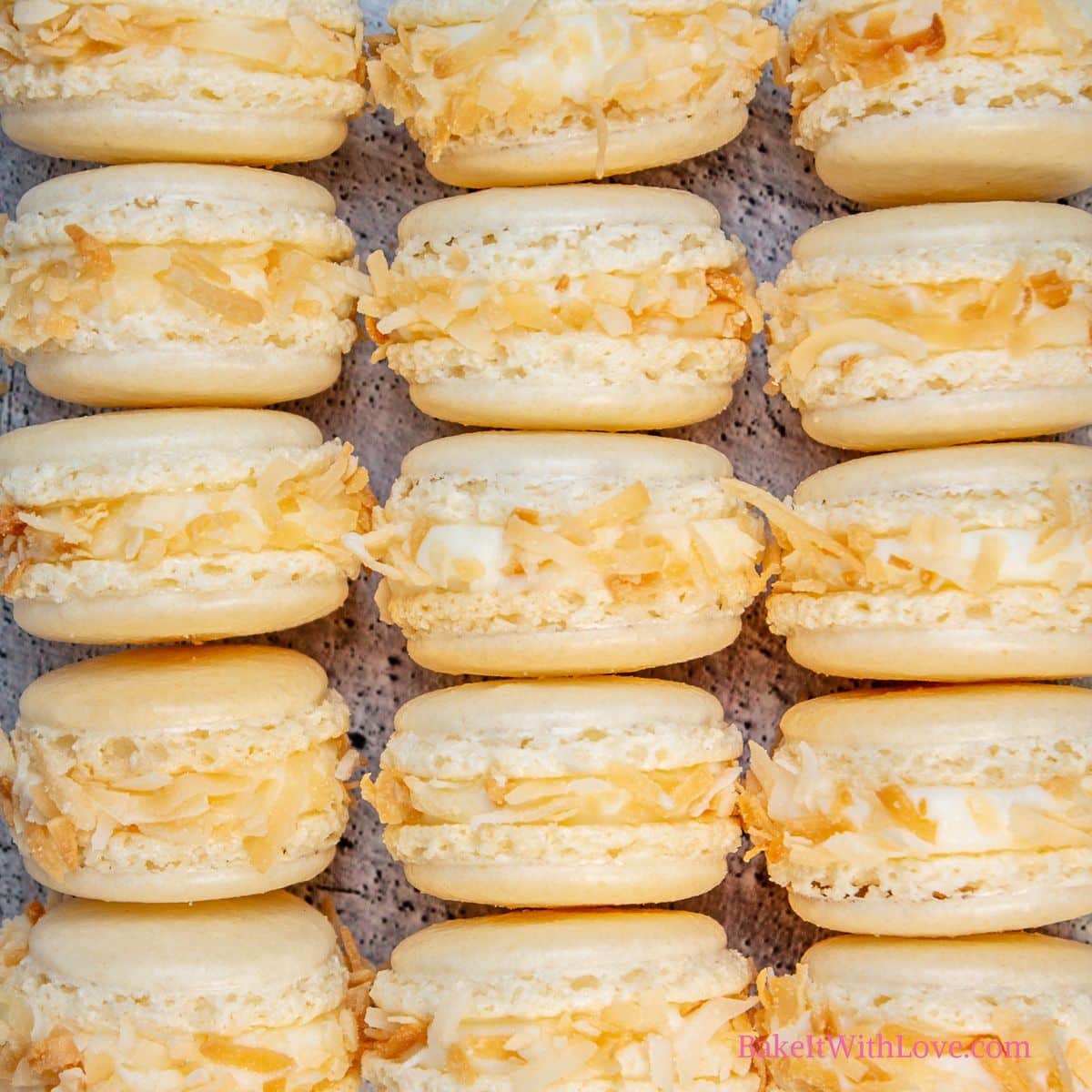 Toasted Coconut Macarons