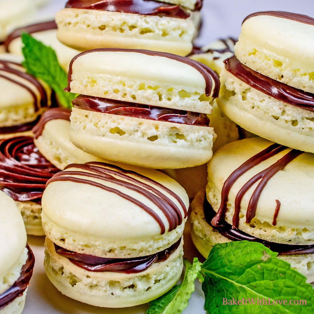 Mint Chocolate Macarons