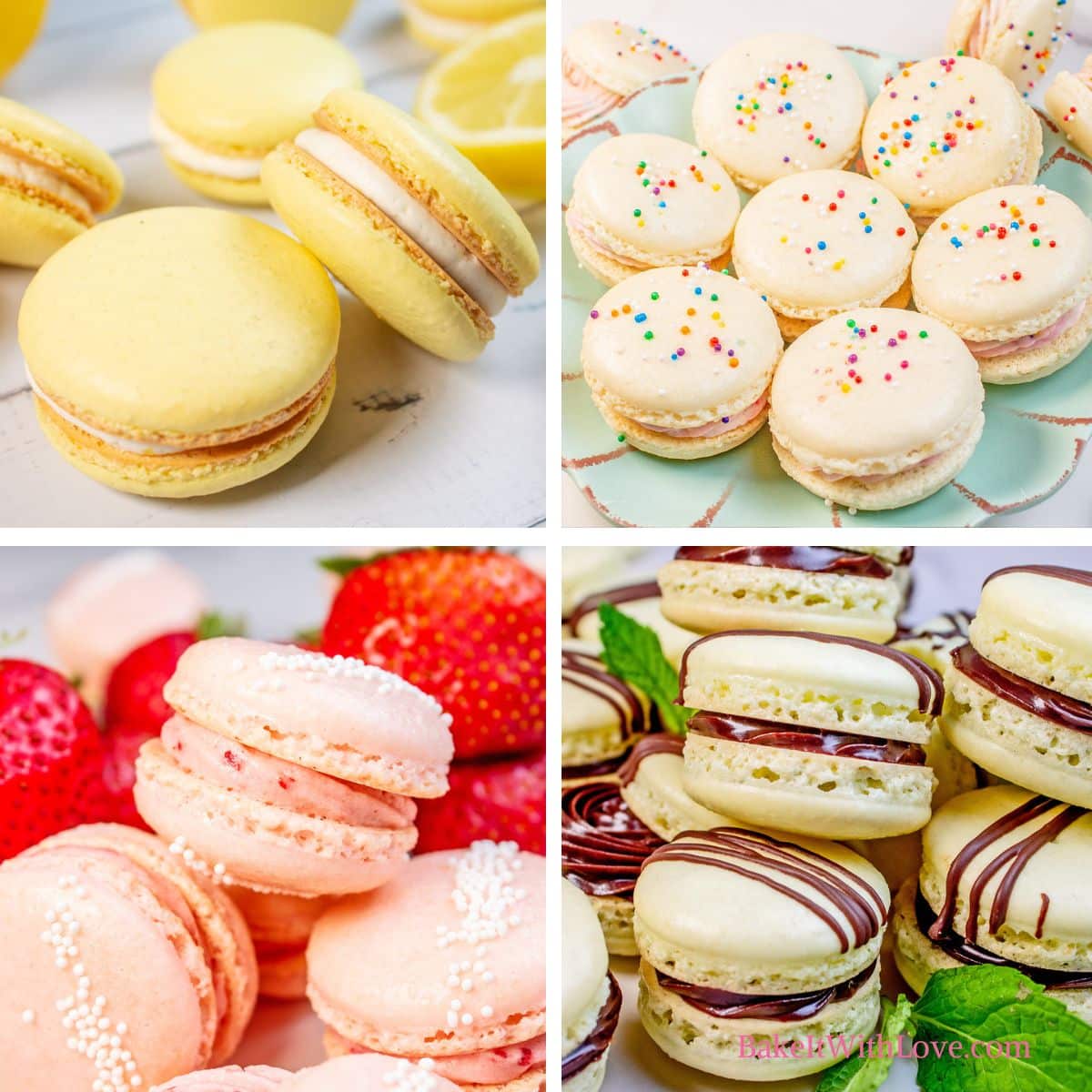 Science of Macarons: Basics For Macaron Mastery