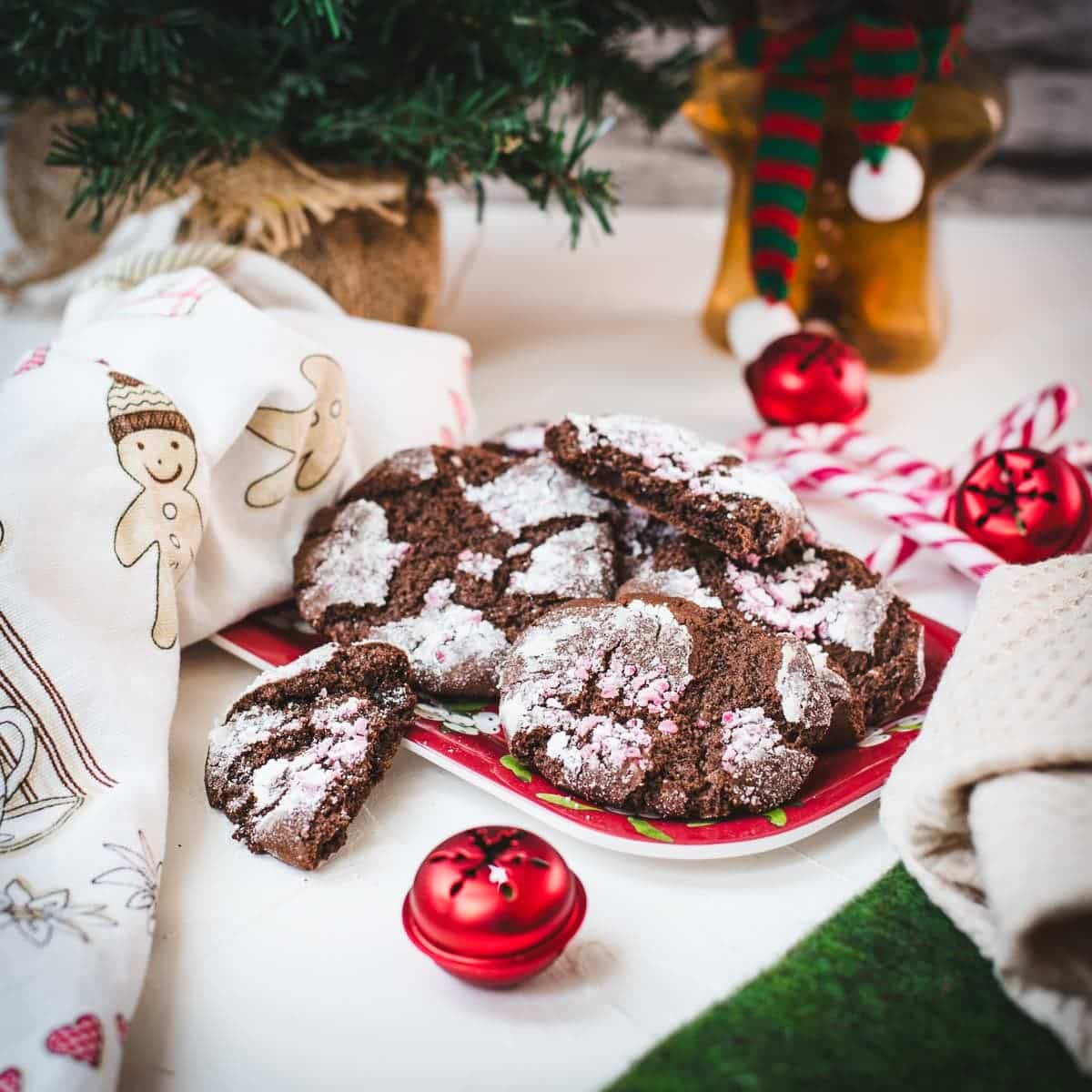 Chocolate Crinkle Cookies with Peppermint