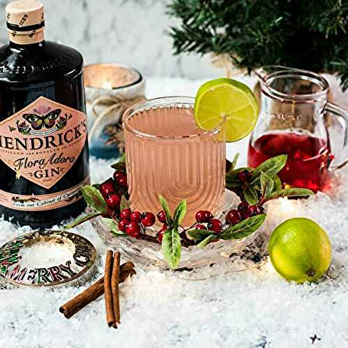 Cranberry Gin Fizz Cocktail