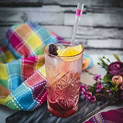 Blackberry Raspberry Gin Fizz Cocktail