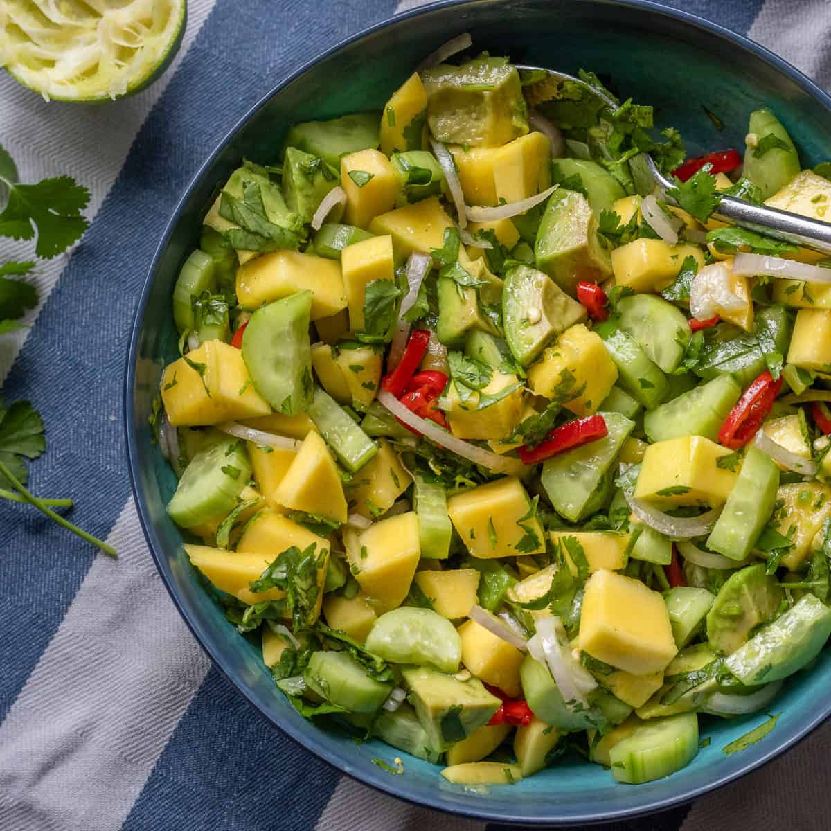 Mango Salad with Avocado and Cucumber