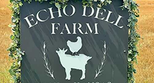 Echo Dell Farm's Essence of the Prairie Bison Stew with Savory Sage Cornbread as featured in KANSAS! 2026, Vol 82, issue 2