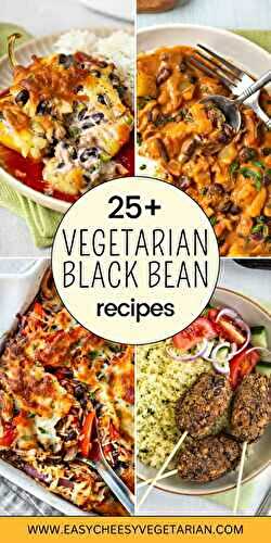 25+ Vegetarian Black Bean Recipes