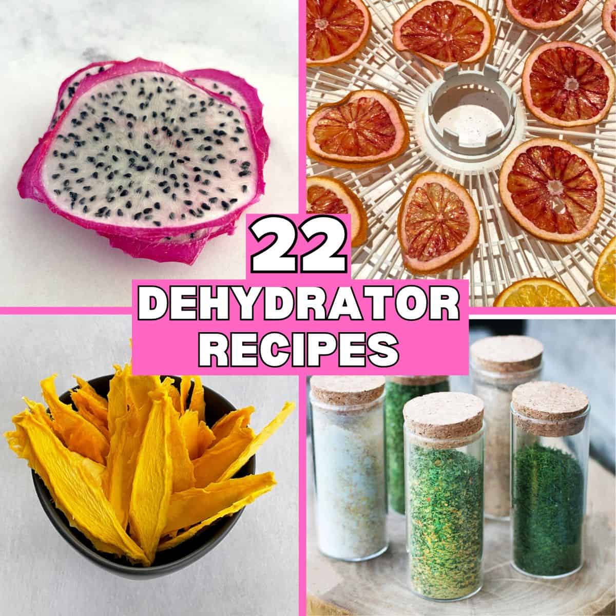 22 Dehydrator Recipes