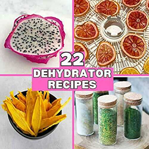 22 Dehydrator Recipes