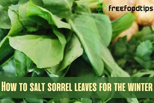 How to preserve fresh sorrel for winter | FreeFoodTips.com