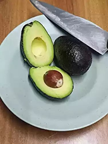 Avocado in Hindi