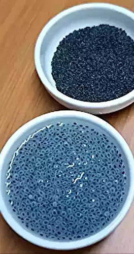 What are Sabja Seeds? English Name, Regional Glossaries, and Chef’s Guide