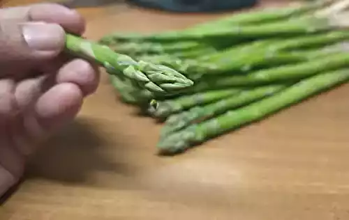 What is Asparagus? Indian Names (Shatavari), Benefits, and How to Eat It