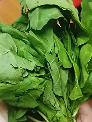 Spinach in Hindi (Palak) — Meaning in All Indian Languages, Nutrition & Benefits