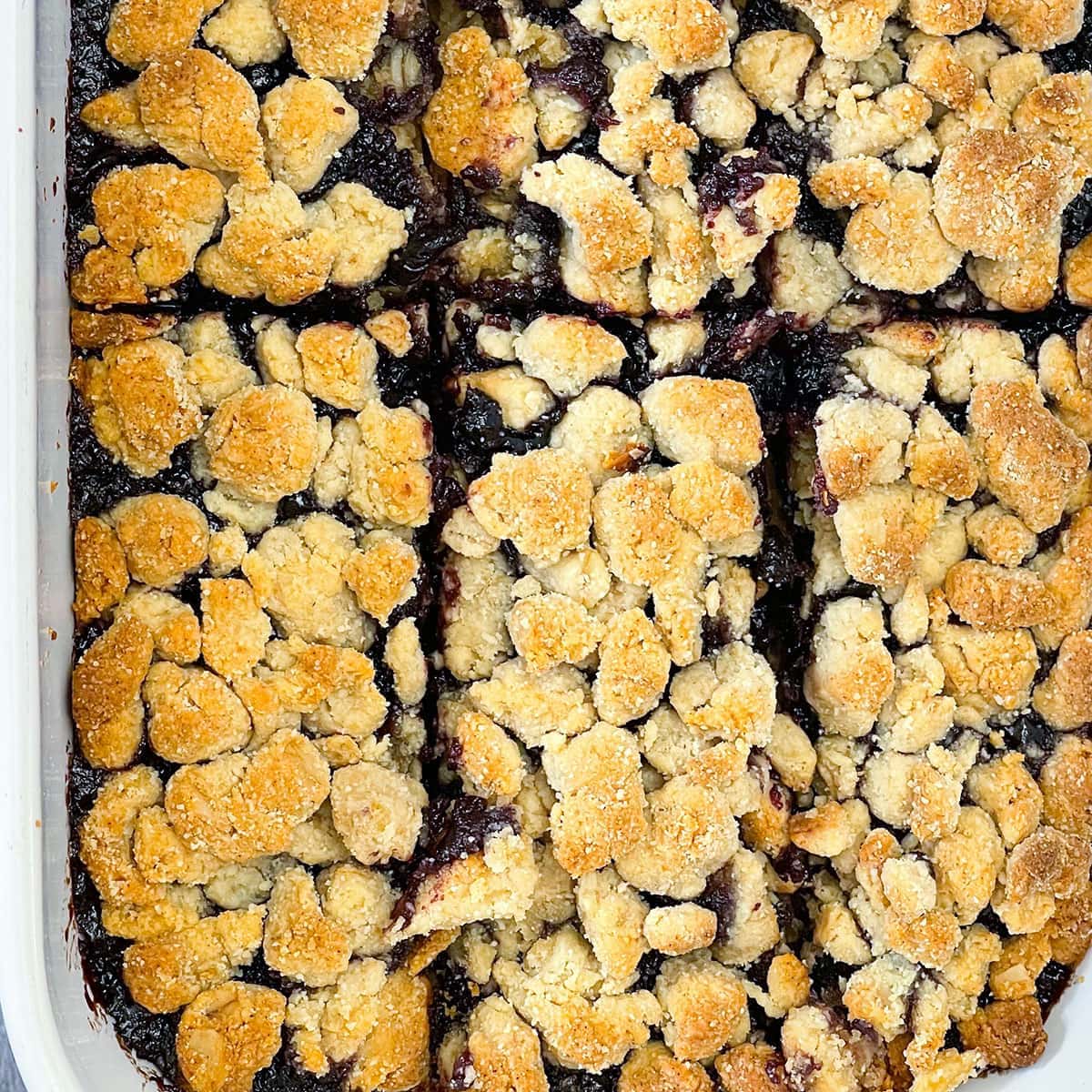 Vegan Blueberry Bars