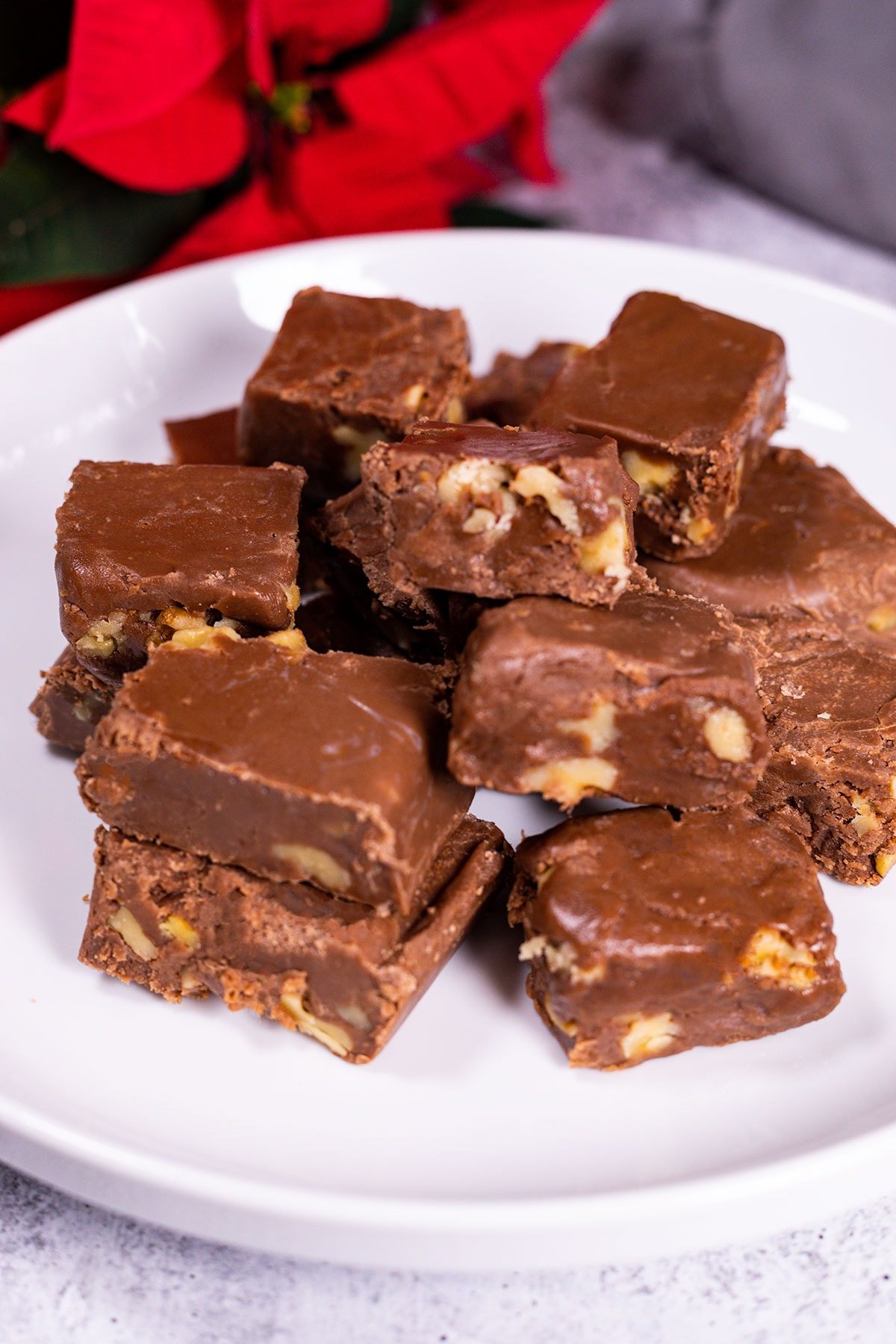 Vegan Fudge