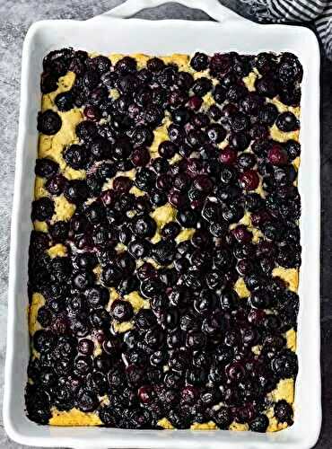 Vegan Gluten-Free Blueberry Cake