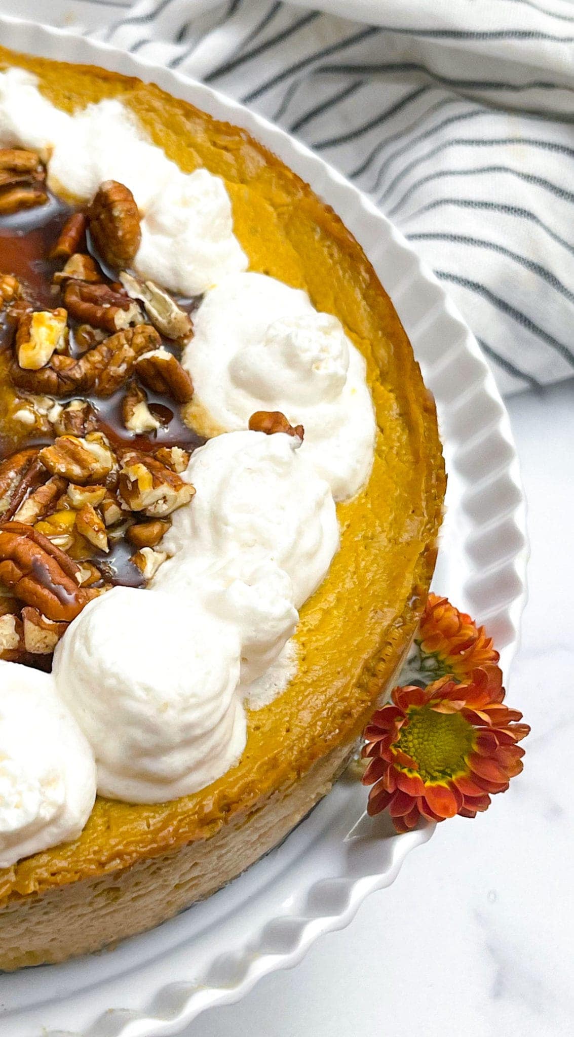 Vegan Pumpkin Cheesecake