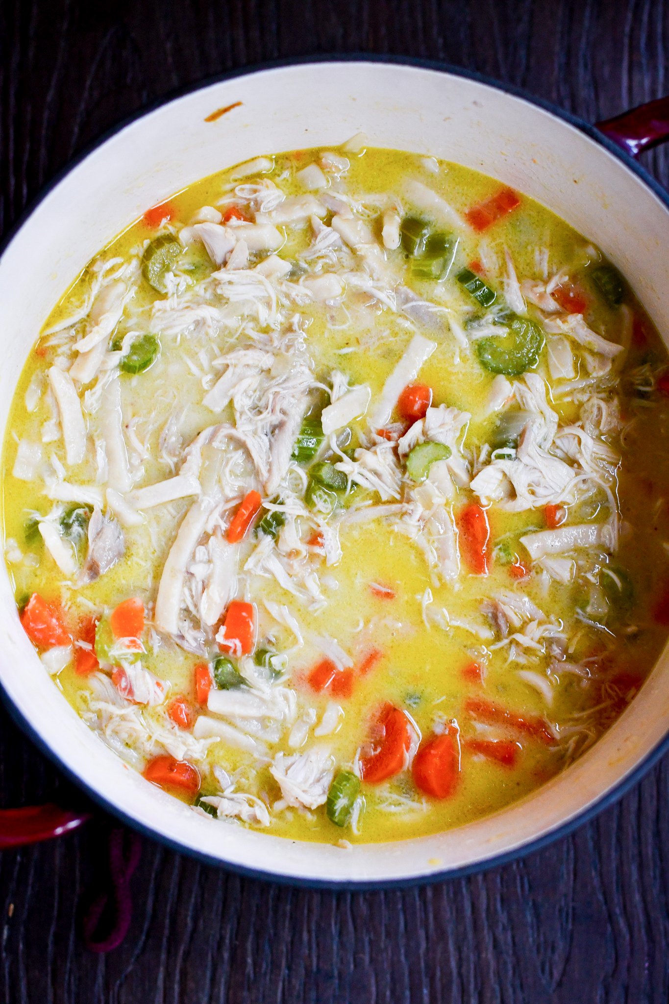 Instant Pot Chicken Noodle Soup Recipe