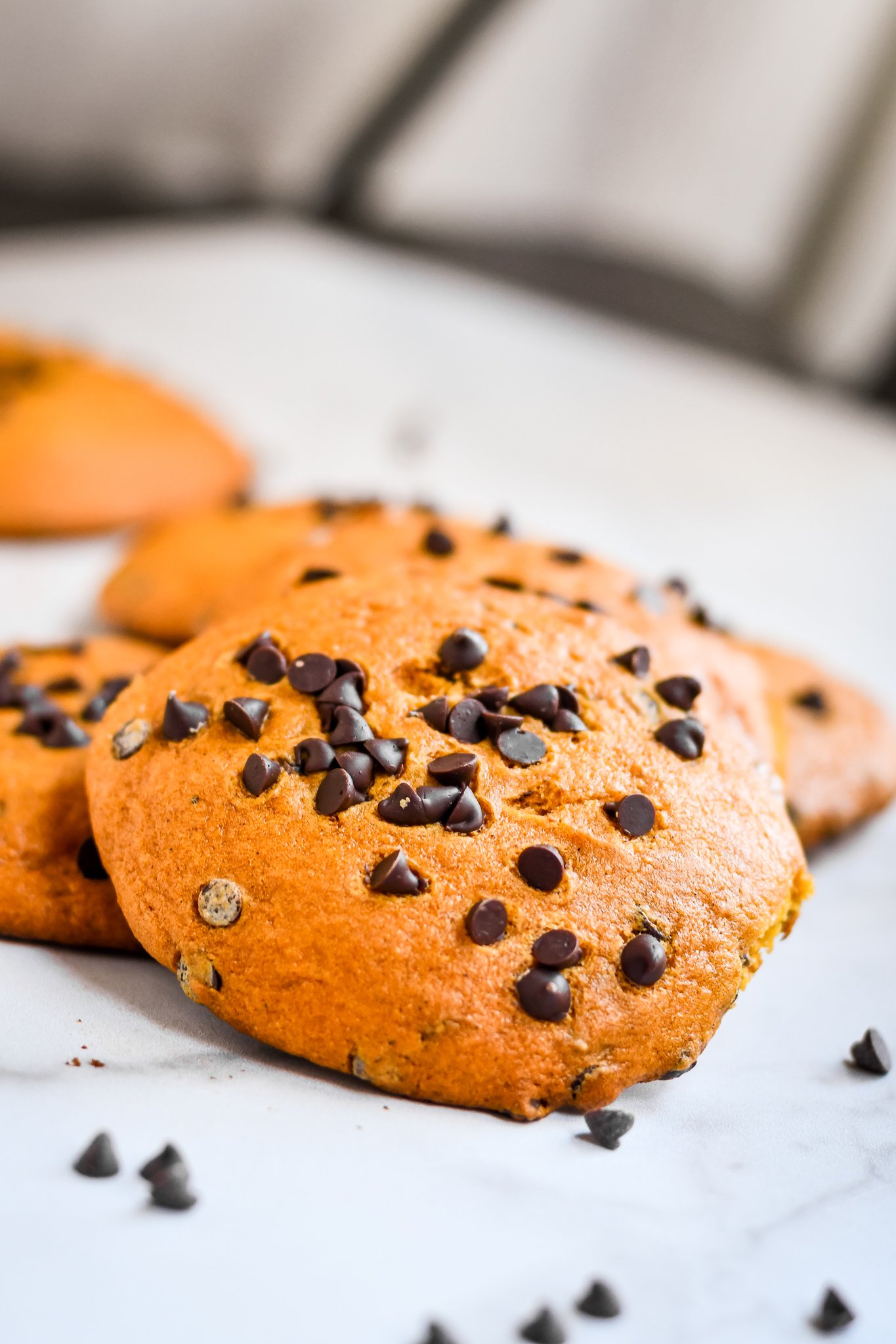 Pumpkin Chocolate Chip Cookies Recipe