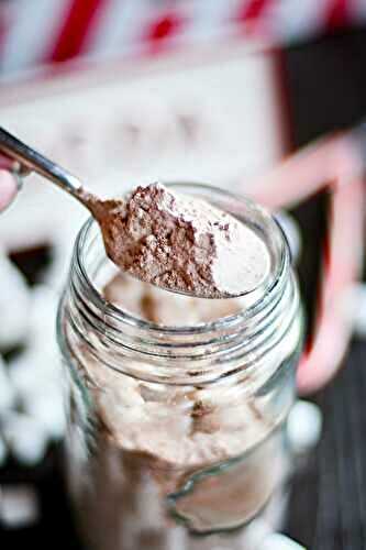 Best Homemade Hot Chocolate Mix Recipe