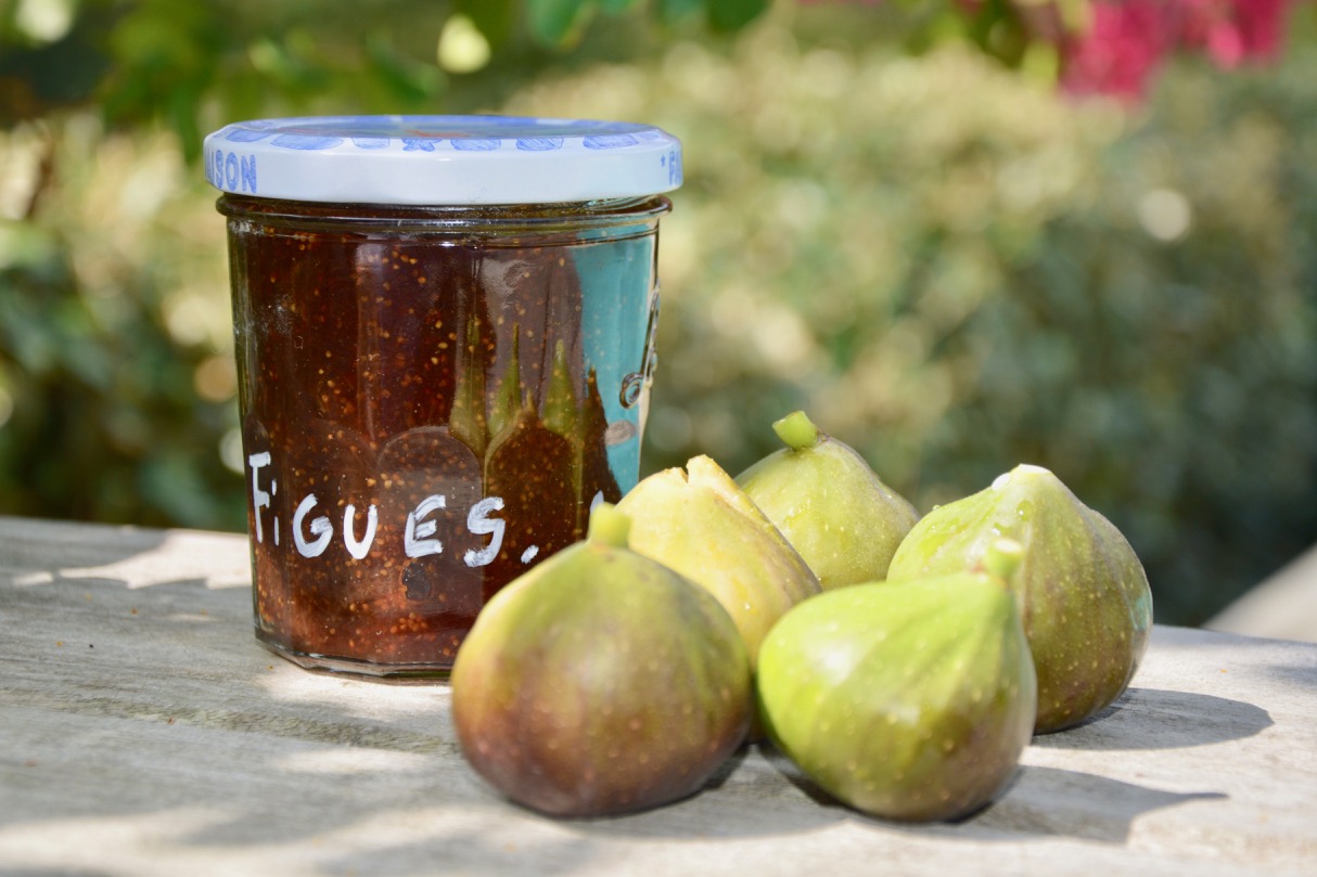 FIG JAM