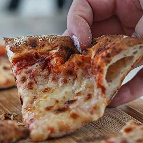 Gluten Free Sourdough Pizza Crust
