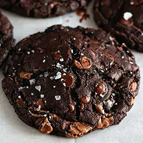 Gluten Free Double Chocolate Chip Cookies