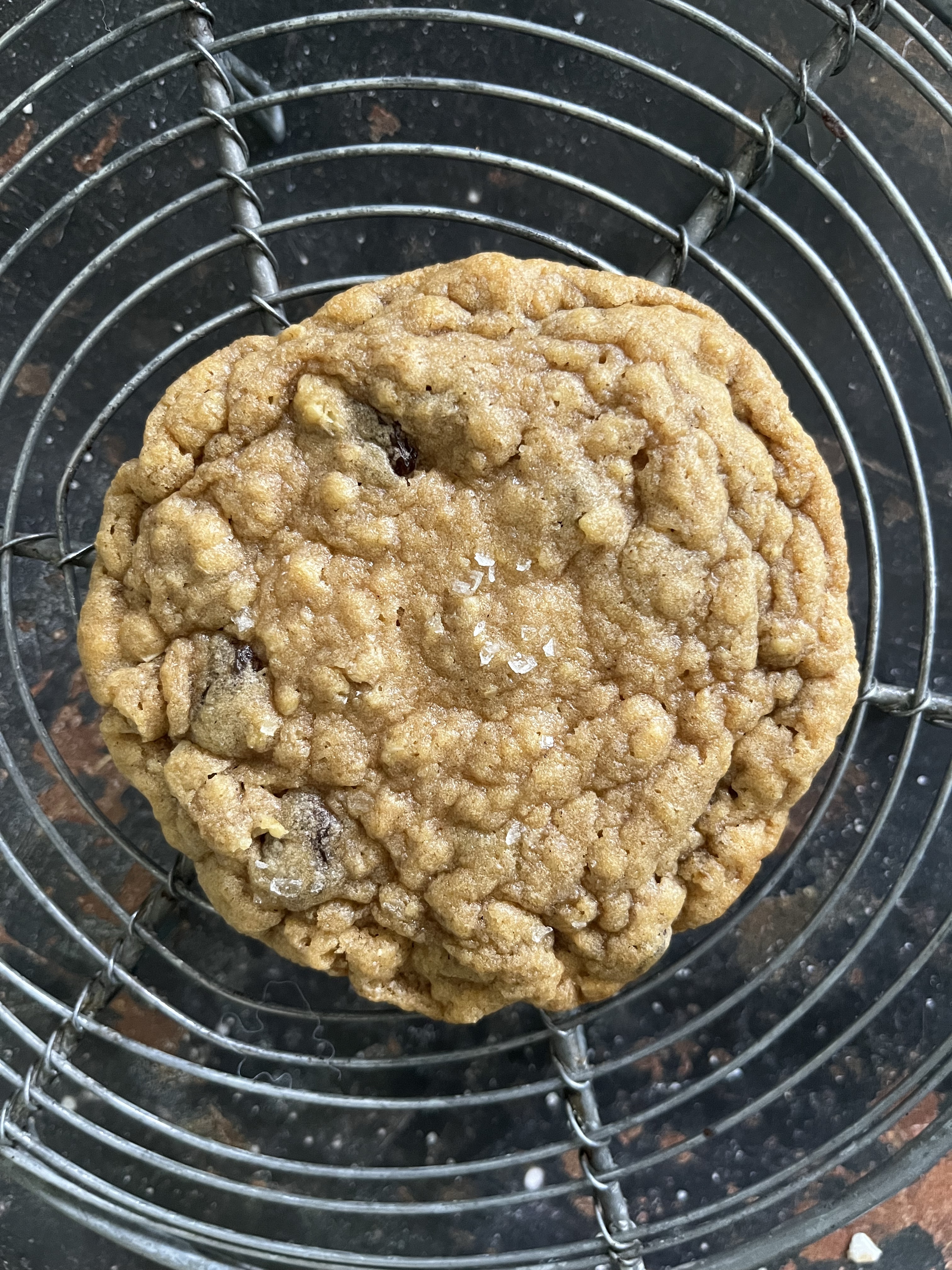 Oatmeal Raisin Cookie for one