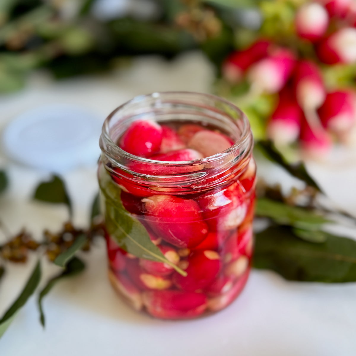 Pickled Radishes