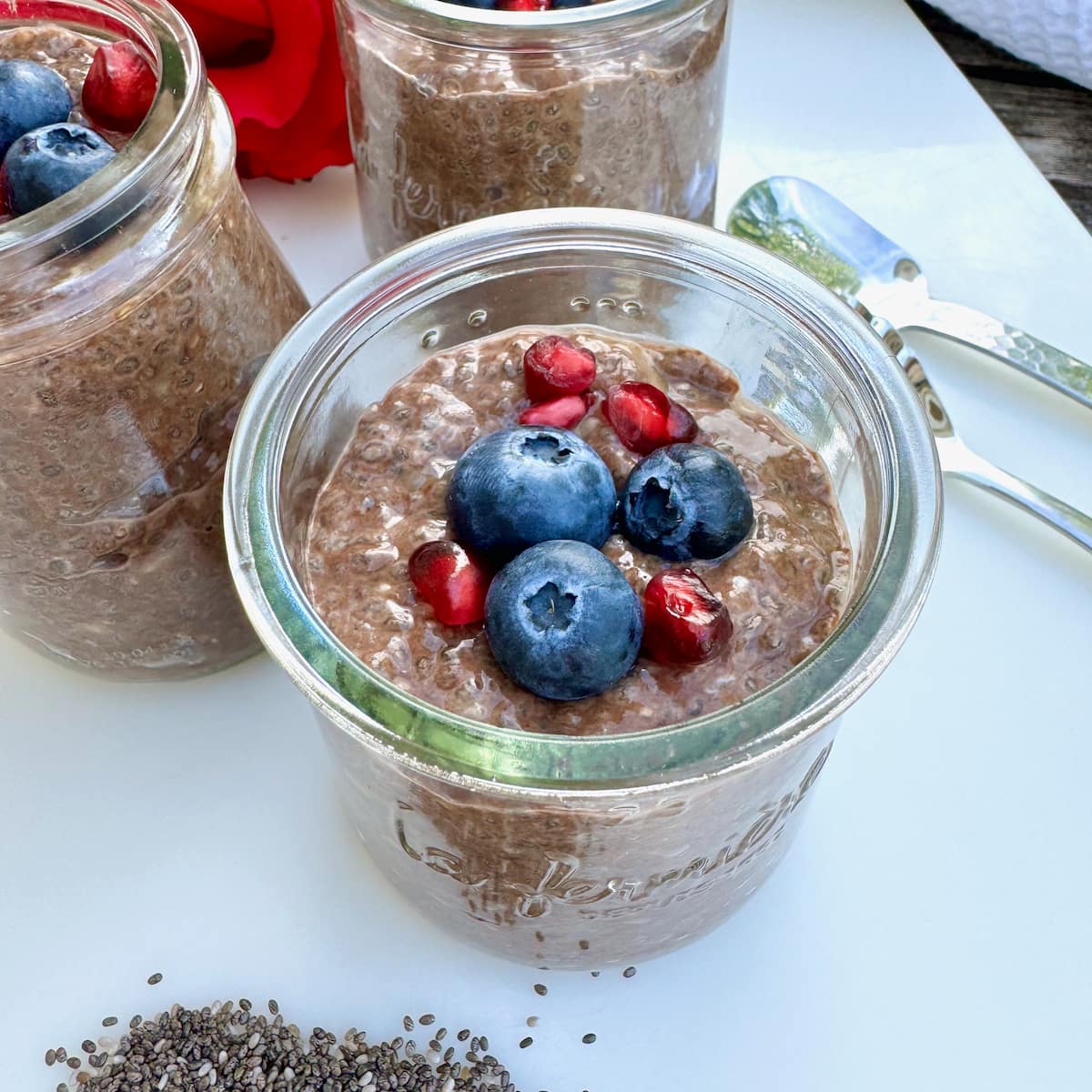 Chocolate Chia Seed Pudding