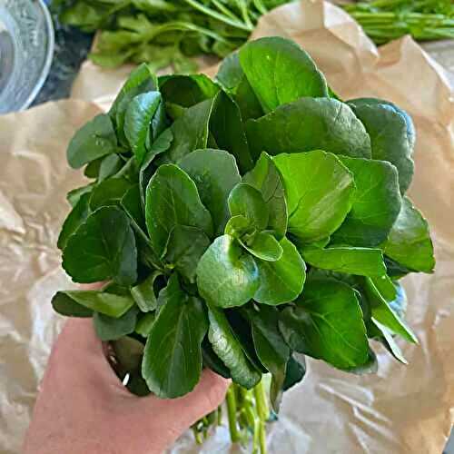 Watercress (Cresson)