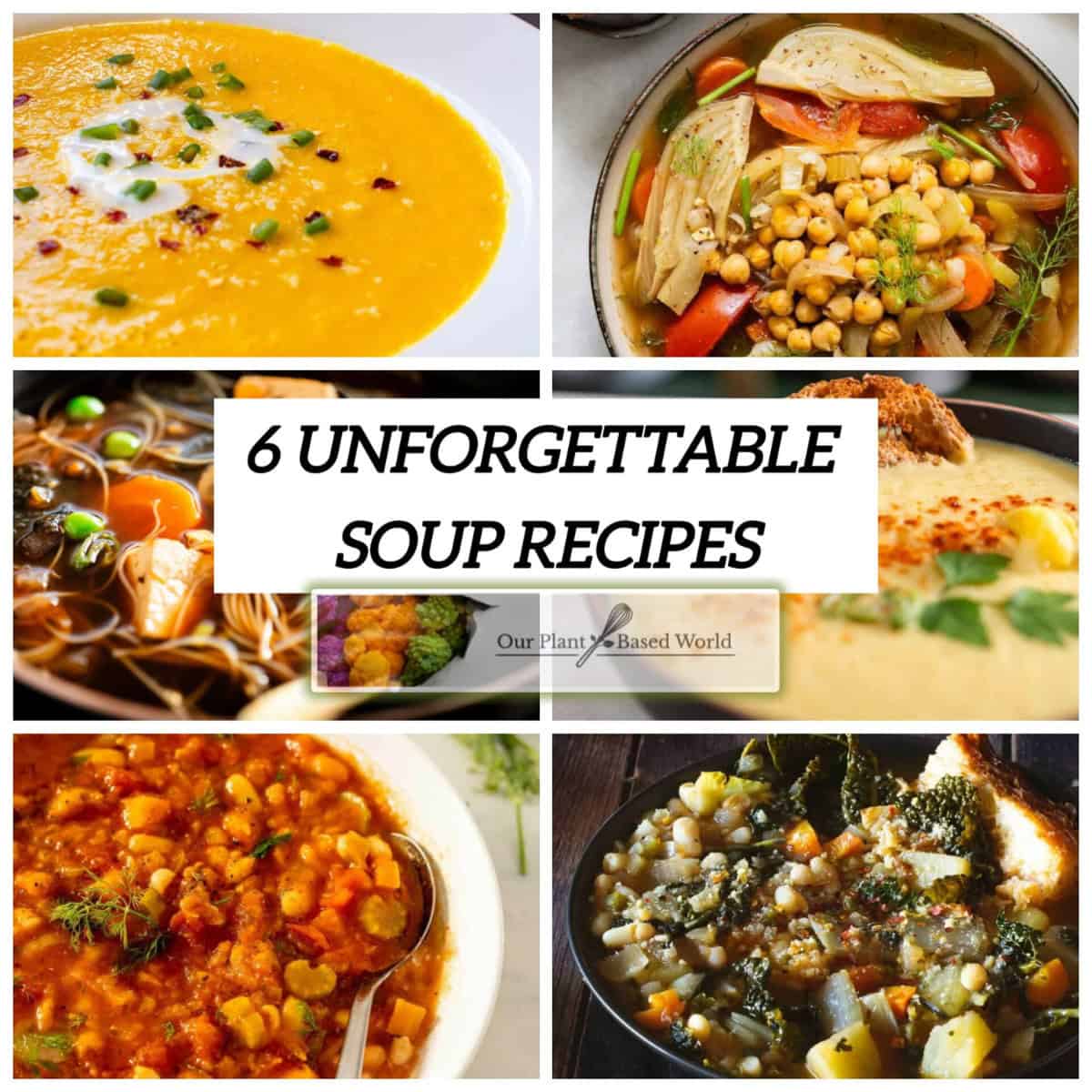 6 Must-Have Cozy Vegan Soups                          for Chilly Days