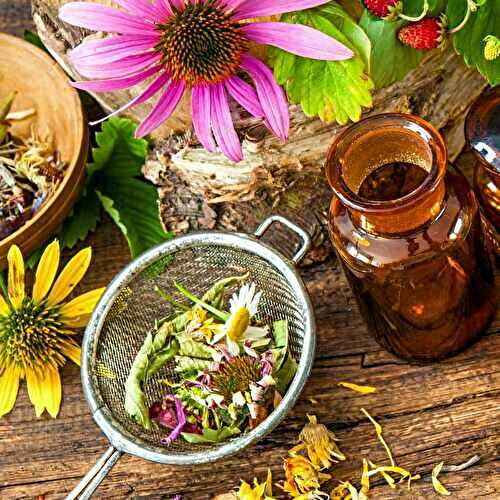 5 Natural Herbs For Runny Nose And Cold Symptoms  