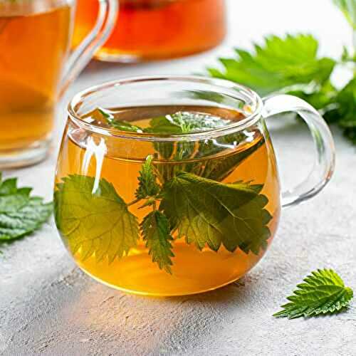 Is Nettle Tea Safe During Pregnancy (Side Effects)