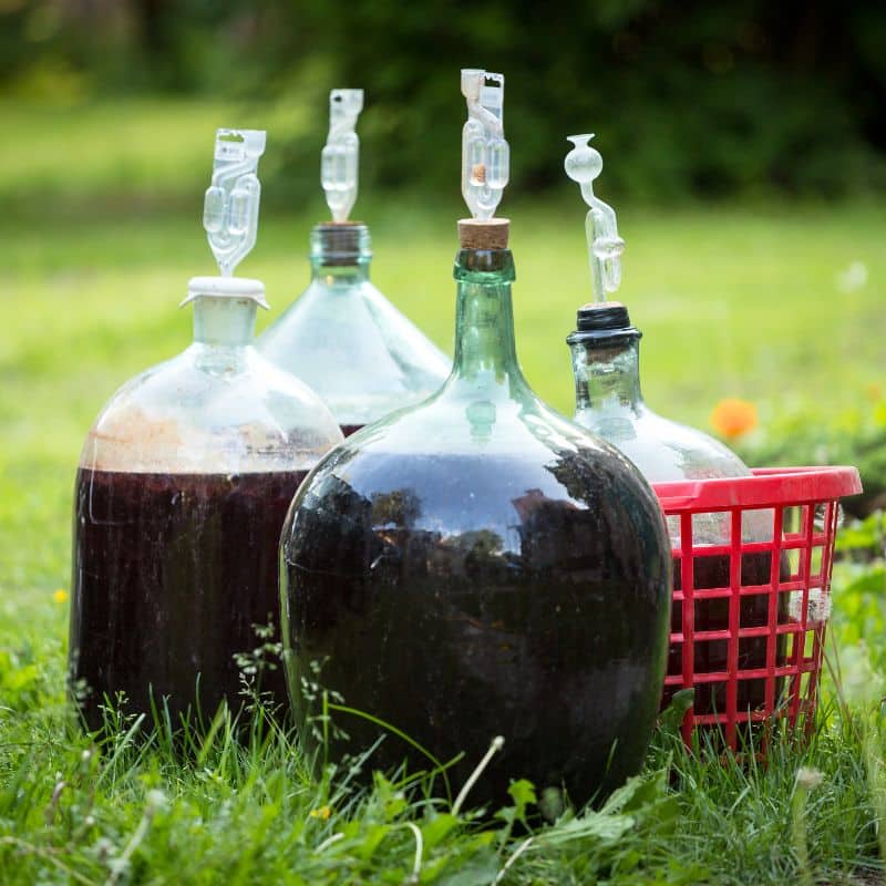 Blueberry Mead Recipe