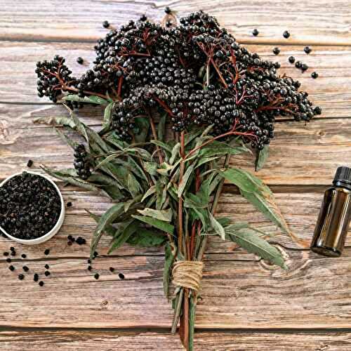 Easy Elderberry Tincture Recipe Without Alcohol