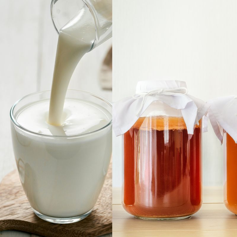 Kefir vs Kombucha: Which Fermented Drink Is Better?