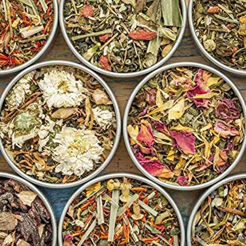 Best Herbal Tea for Anxiety: Natural Stress Relief 