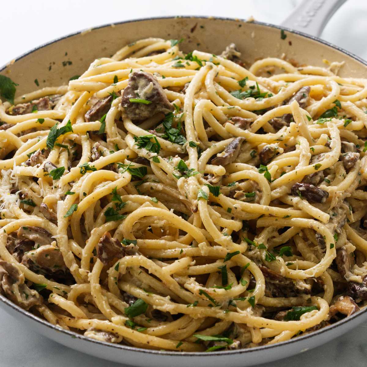 Creamy Wild Mushroom Pasta