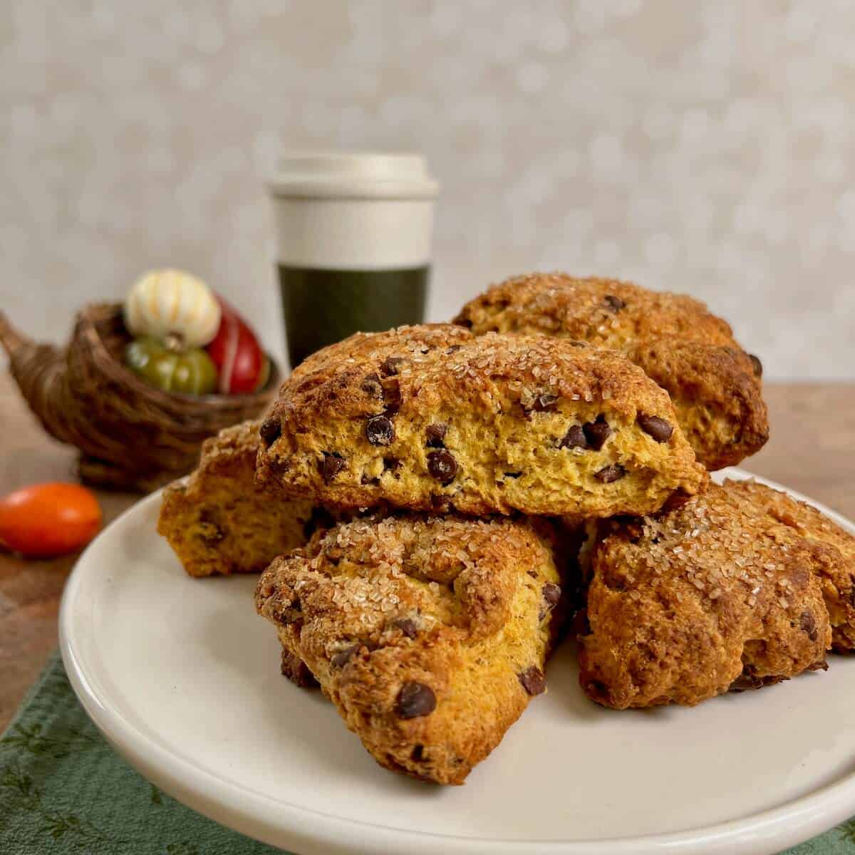 Pumpkin Chocolate Chip Scones