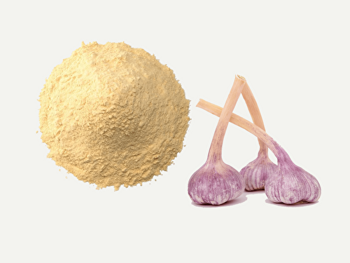 Garlic Powder Nutrition, Substitutes, & Garlic Powder vs Garlic Salt - The Flavor Dance