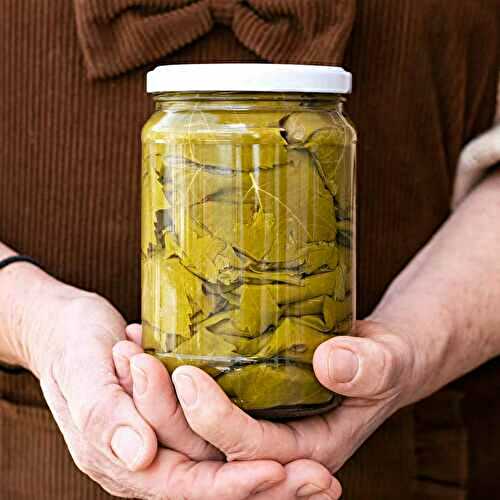 How to preserve grape leaves for dolma🌿