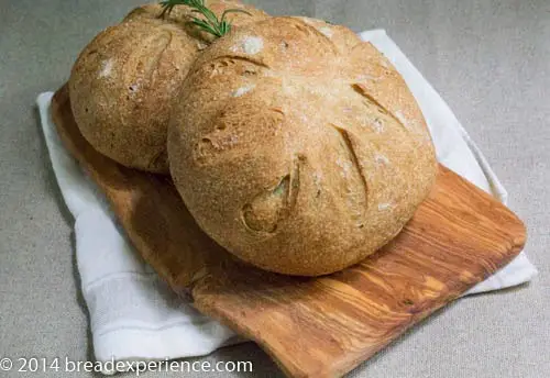 Bread Baking Babes in Tuscany