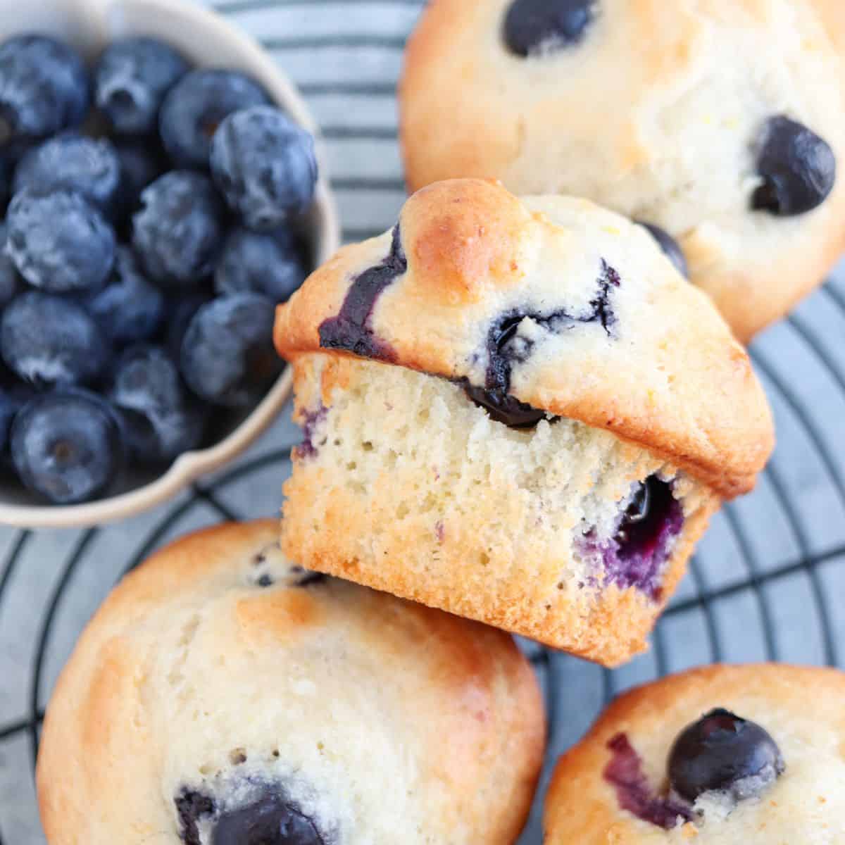 Cottage Cheese Blueberry Muffins