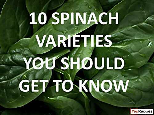 10 Varieties of Spinach You Should Get to Know