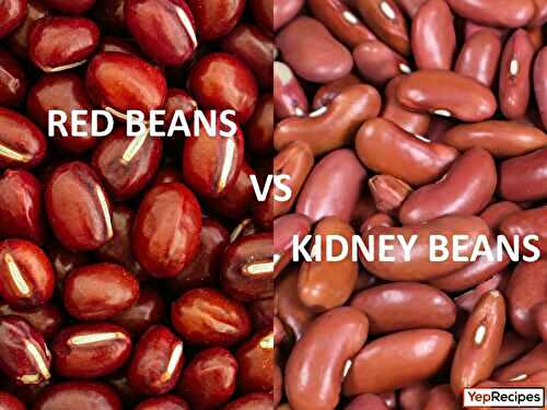 Are Red Beans the Same as Kidney Beans?